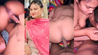 Desi Hard Fucking Big Collection